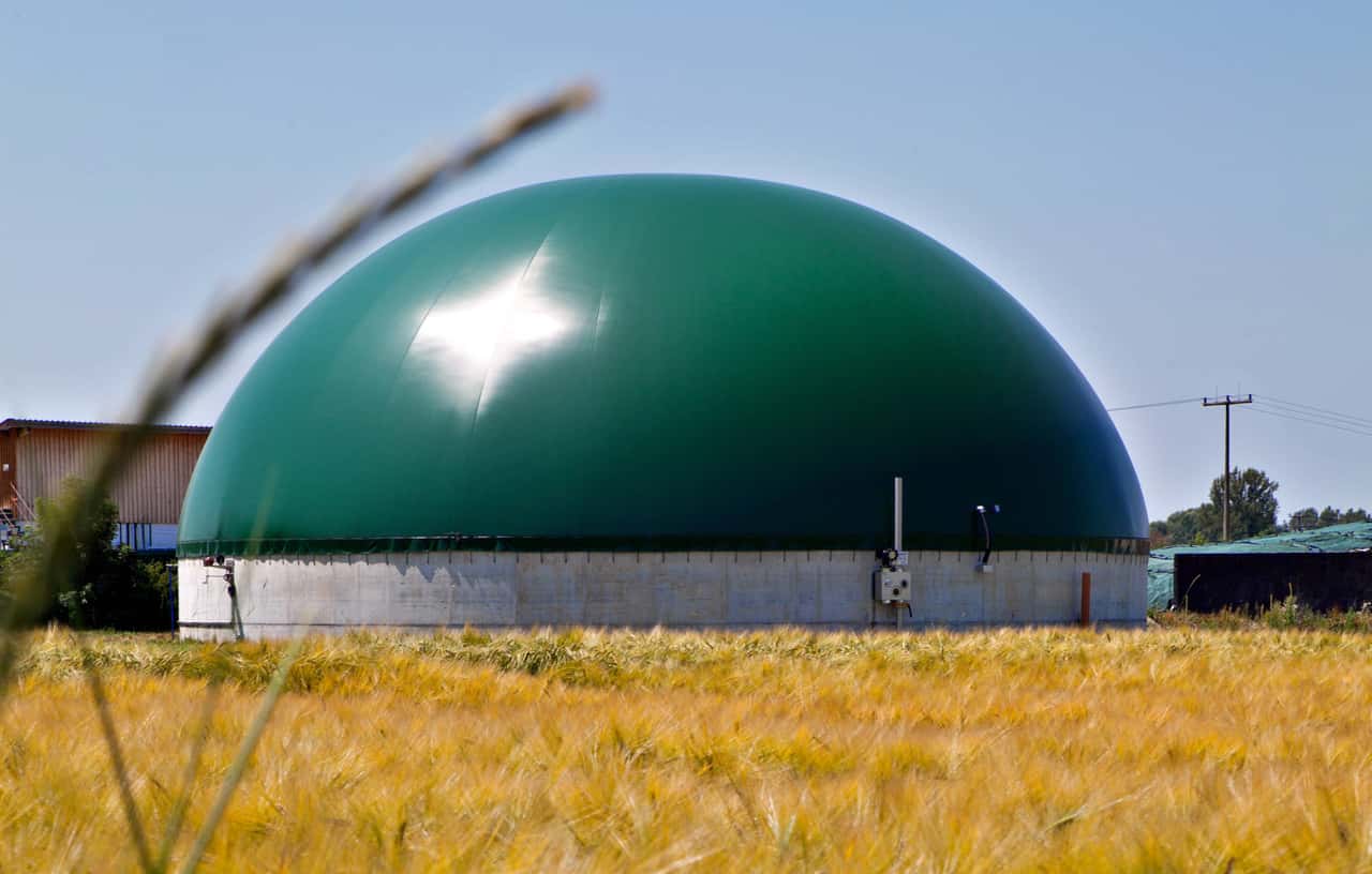 Ohne-Biomassepaket-droht-massives-Anlagensterben