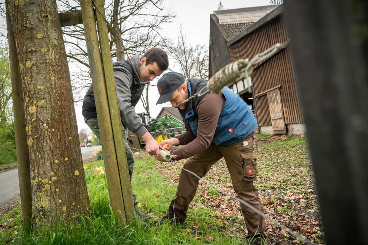 Warum-NDR-und-BR-Landwirtschaft-auf-TikTok-bringen