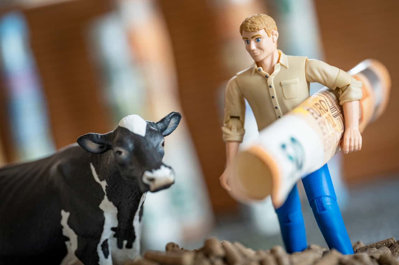-300-Milliarden-f-r-die-Landwirtschaft-m-ssen-reichen-