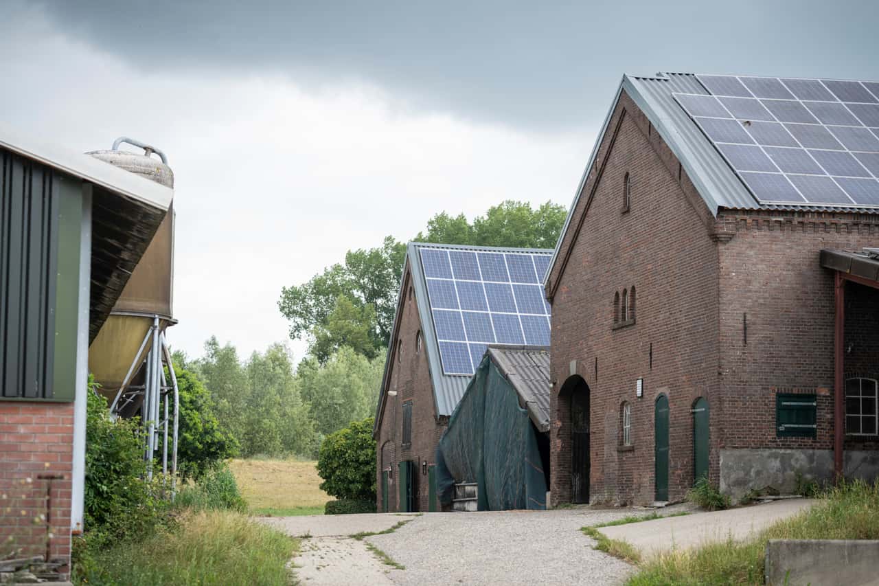 How the phase-out program in the Netherlands is accelerating structural ...