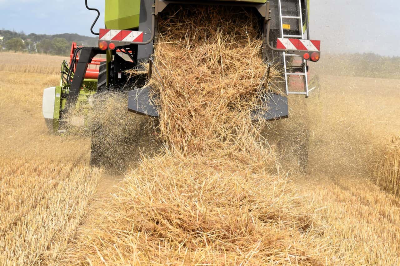 7-5-ha-Weizen-weg-Th-ringer-Landwirt-vermisst-seine-Ernte