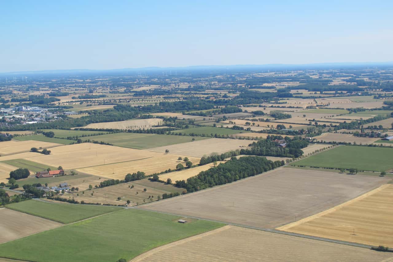 20,000 ha deal: What do politicians say about this?