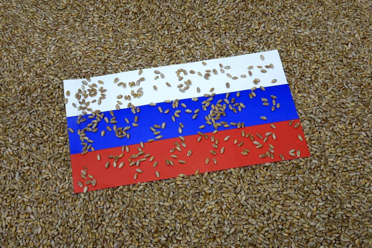 Weizen-Ukrainische-und-russische-Exporte-dr-cken-die-Preise