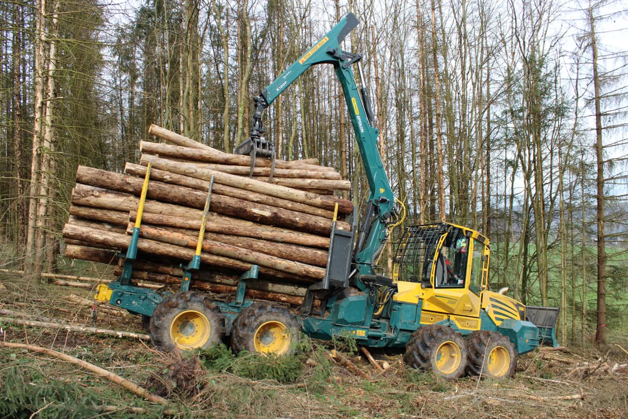 S-gewerke-suchen-Rohstoff-Waldbesitzer-sollen-mehr-einschlagen