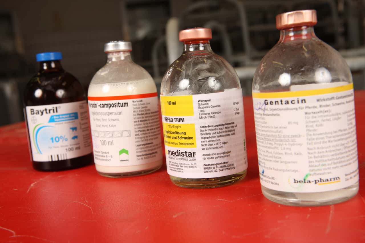Deutsche-Tierhaltung-hat-2024-rund-6-mehr-Antibiotika-verbraucht