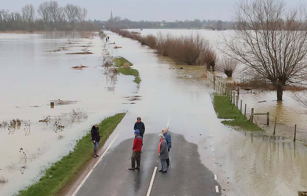 300-Schafe-ertrinken-bei-Hochwasser-in-Wales