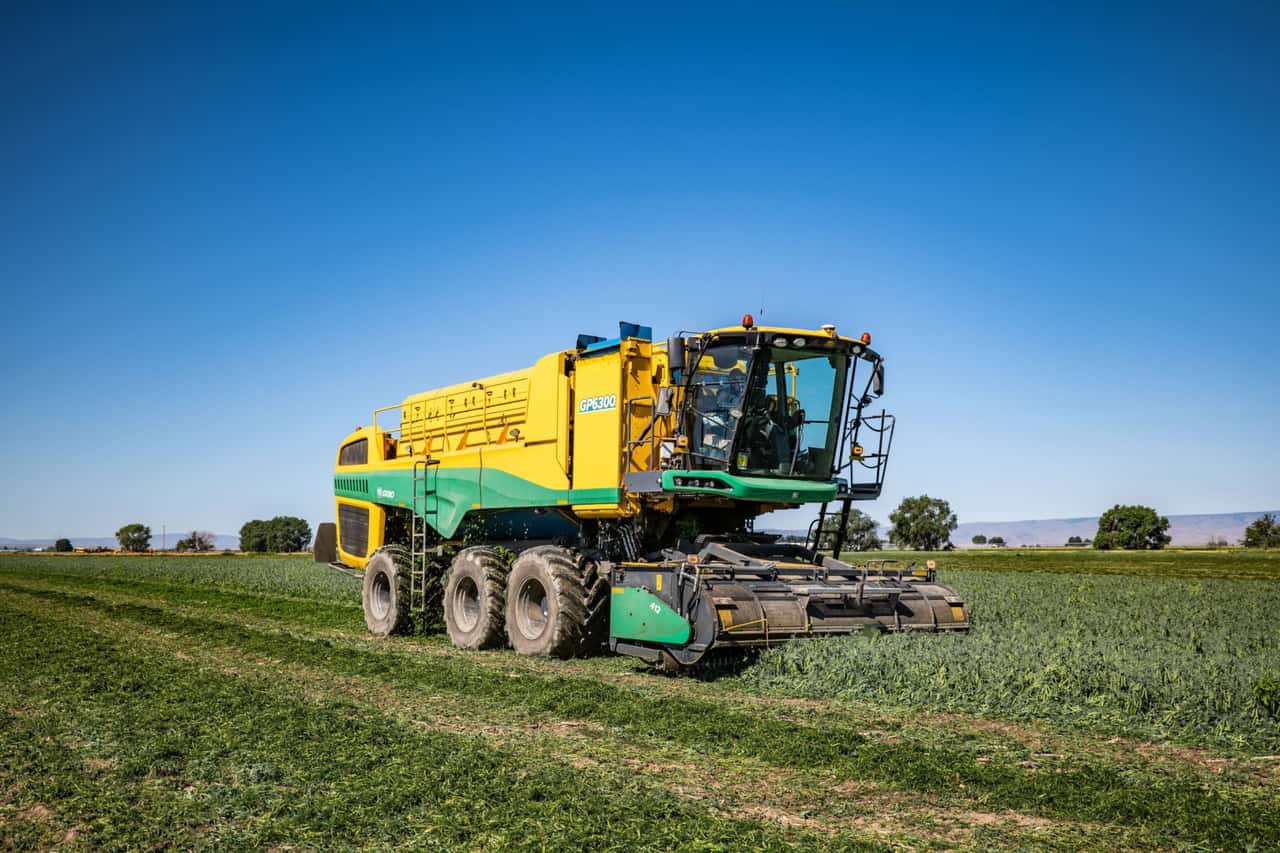 F-r-den-Erbsendrusch-gibt-s-den-neuen-Oxbo-GP6300