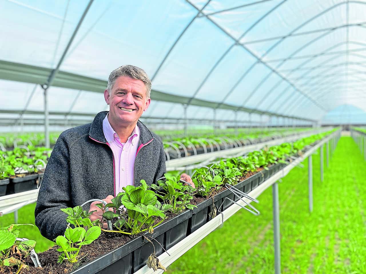 Regional specialty crop cultivation: 