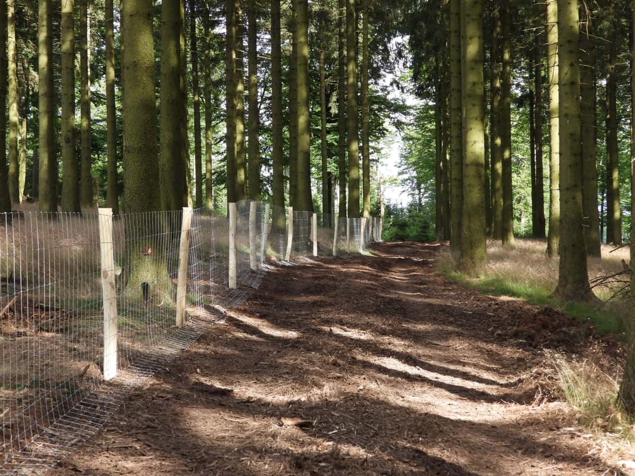 ASP-in-NRW-Kerngebiet-um-rund-3-400-ha-vergr-ert