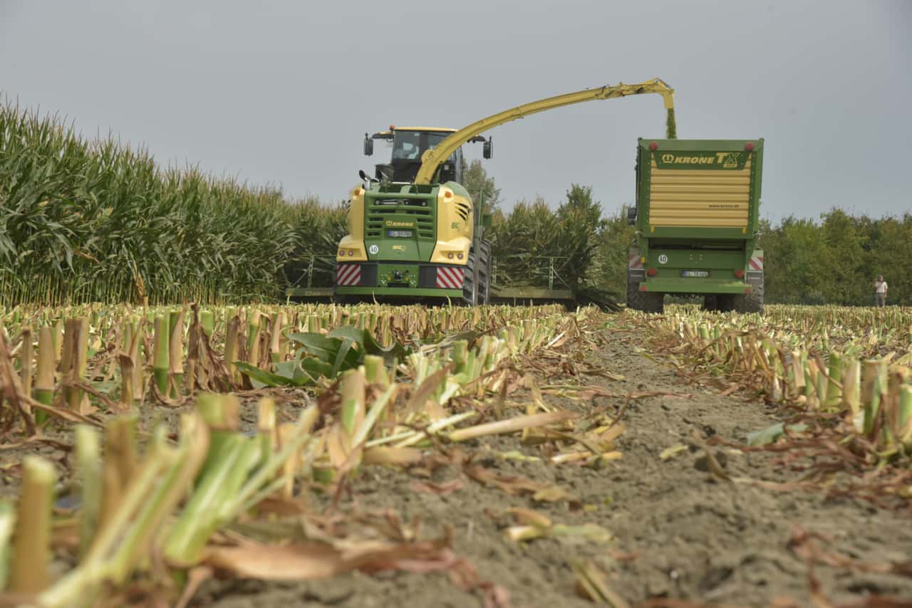 Under time pressure - | WDR accompanies farmers during the corn harvest