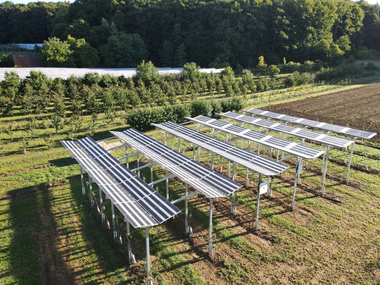 Agri-PV system generates its own electricity and protects cherries
