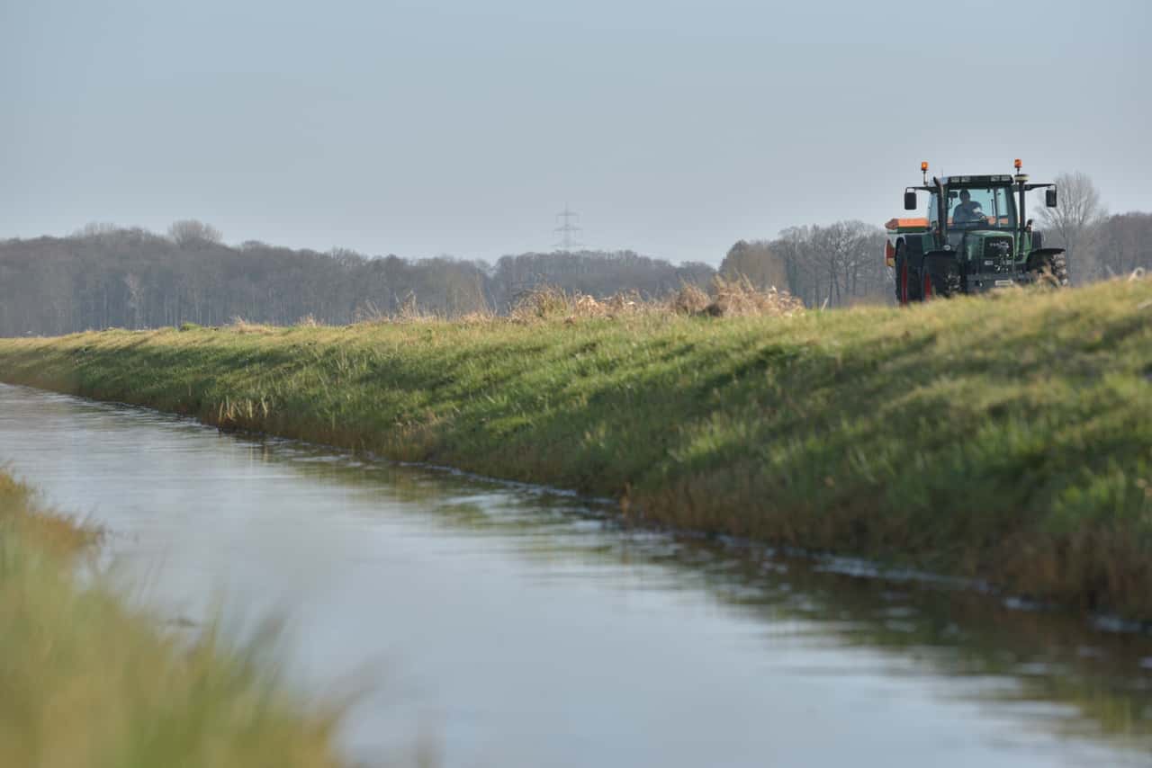 Renaturierung-Das-UBA-will-an-die-Gew-sserrandstreifen-und-Auen-ran