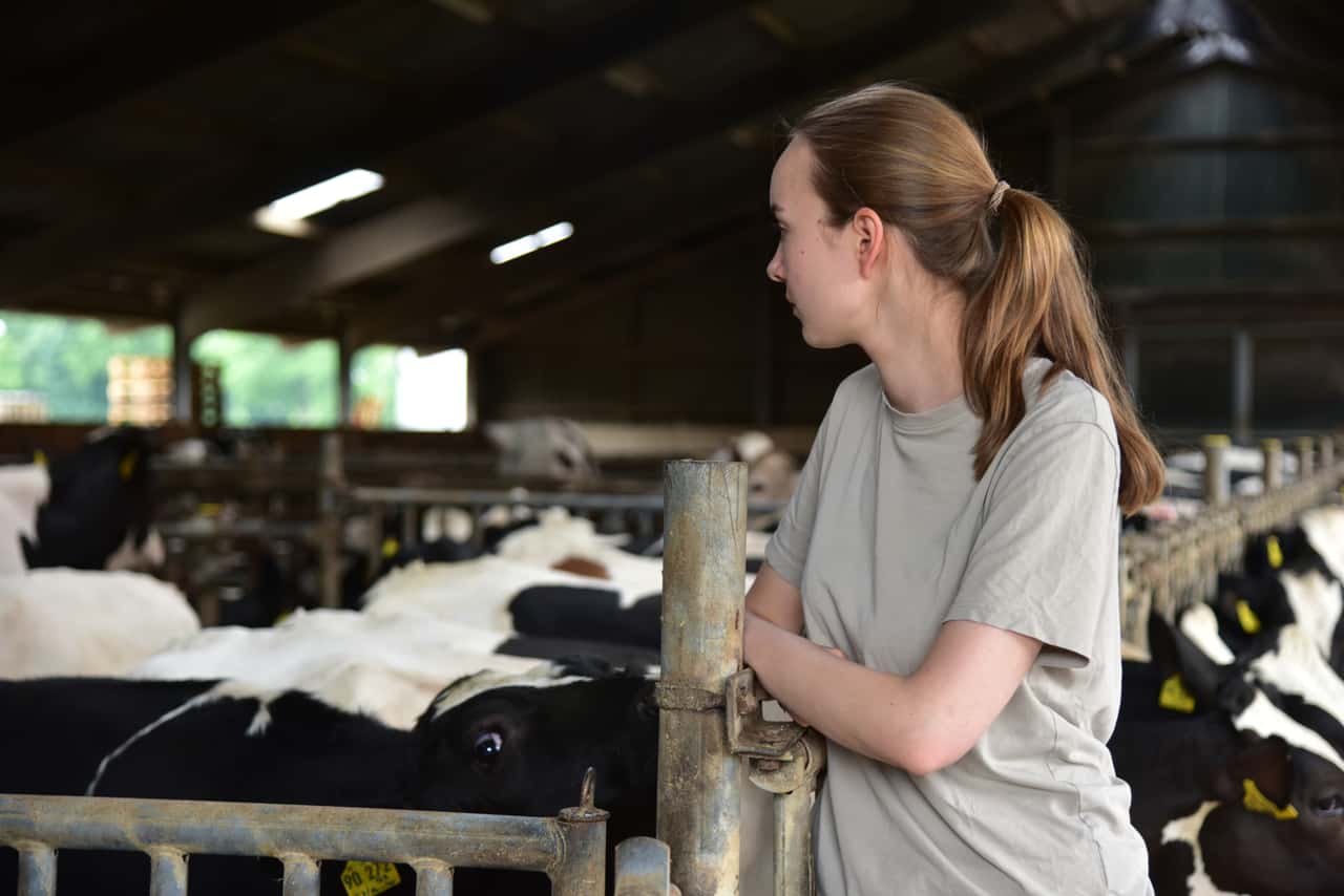 Burn-out-in-der-Landwirtschaft-Kostenfreier-Livestream-am-8-Dezember-2025