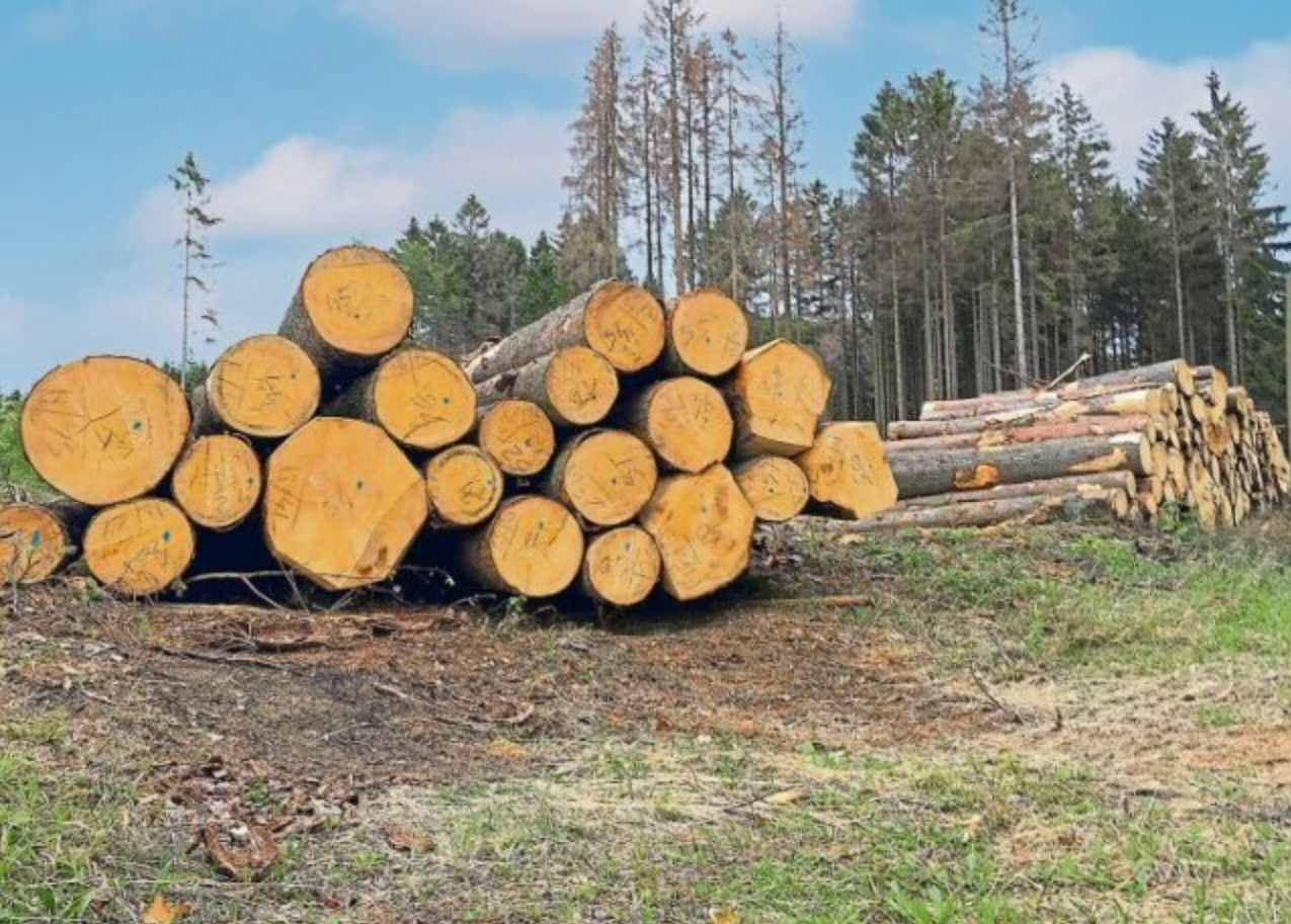 Wer-hat-noch-Fichtenholz-