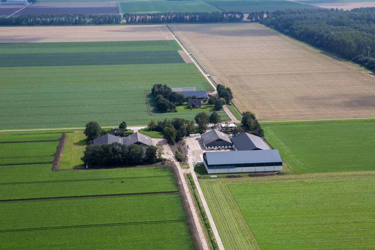Strukturwandel-in-den-Niederlanden-Der-Kampf-um-die-Milch-ist-er-ffnet