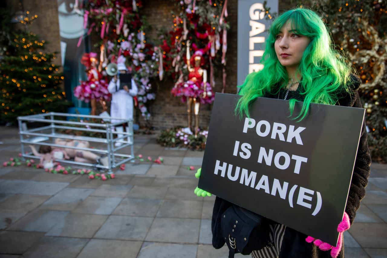 Tierrechtler-starten-Gro-kampagne-gegen-Schweinehaltung