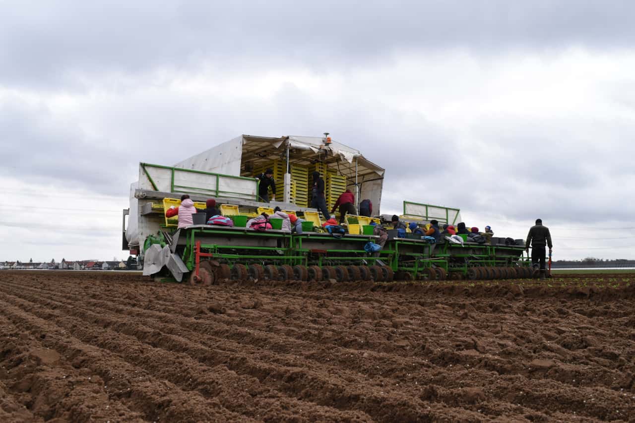 Bundeskabinett-beschlie-t-Mindestlohnerh-hung-Arbeit-wird-ab-Januar-8-teurer
