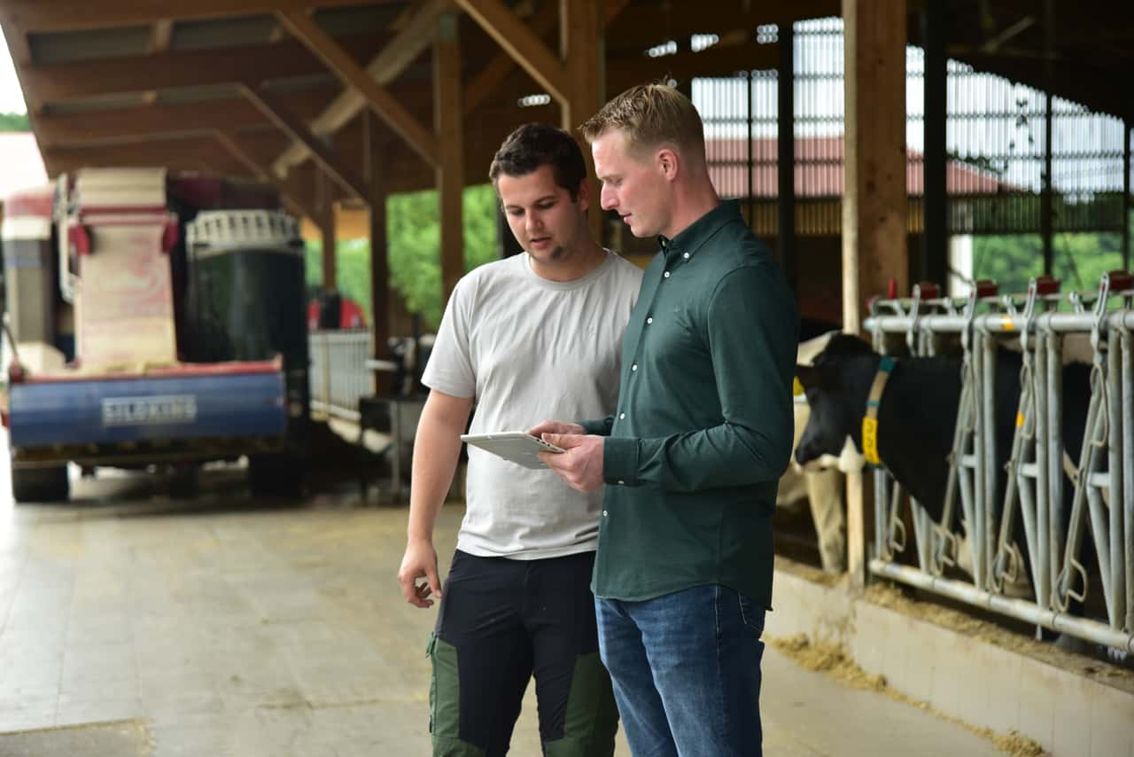 Why some farmers produce milk more cost-effectively than others