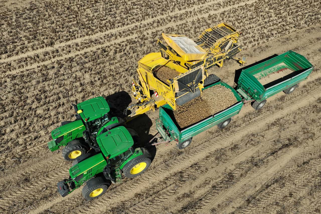 Gr-te-Kartoffelernte-in-den-Niederlanden-seit-2000