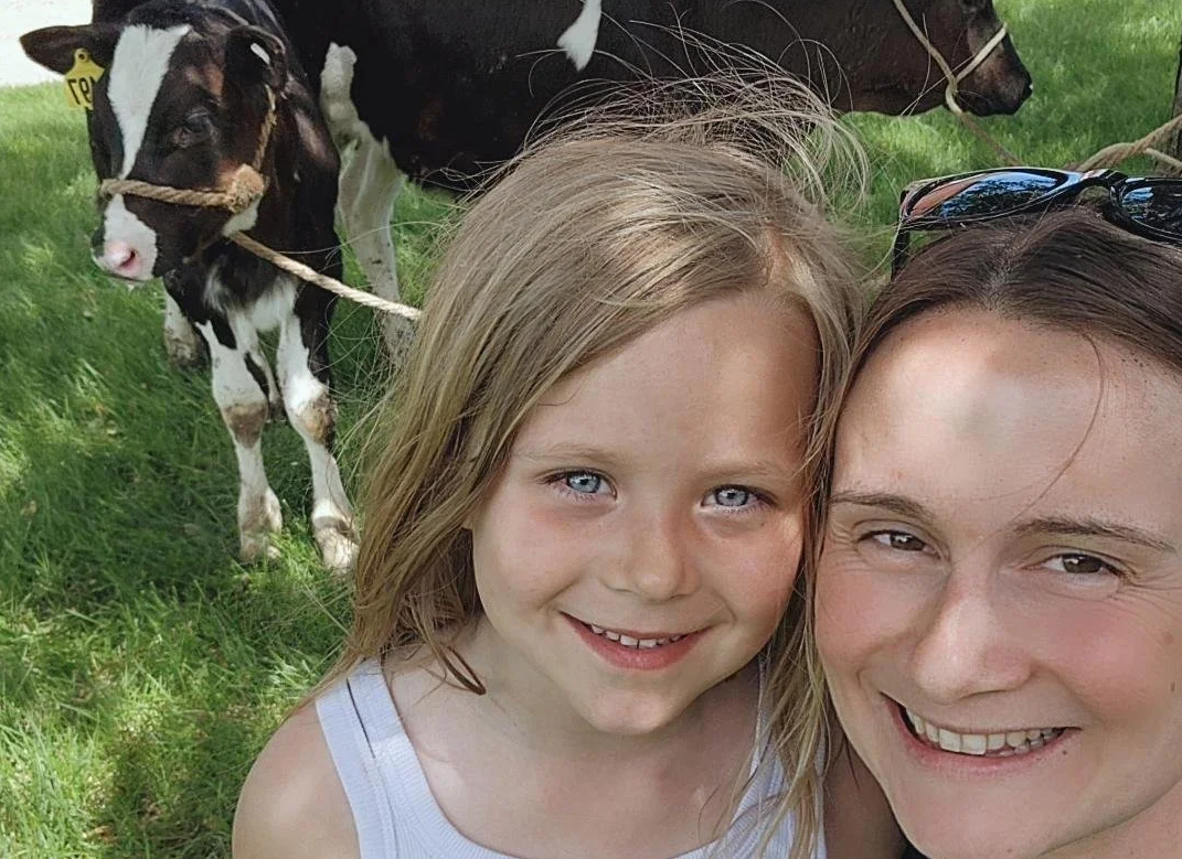 Cow cuddling: Farmer rents out cows for cuddling