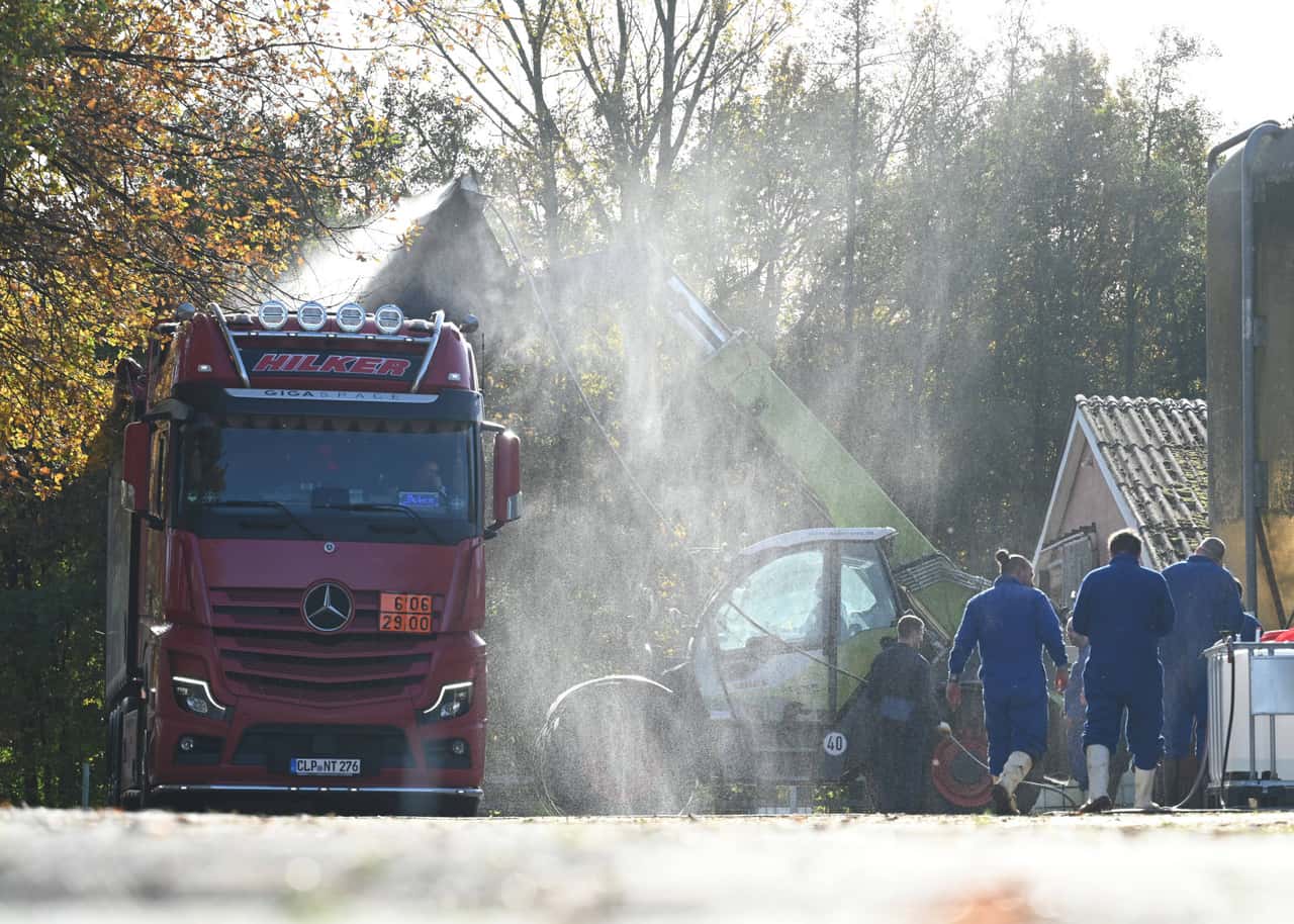 Neue-Vogelgrippe-Verdachtsf-lle-in-Niedersachsen