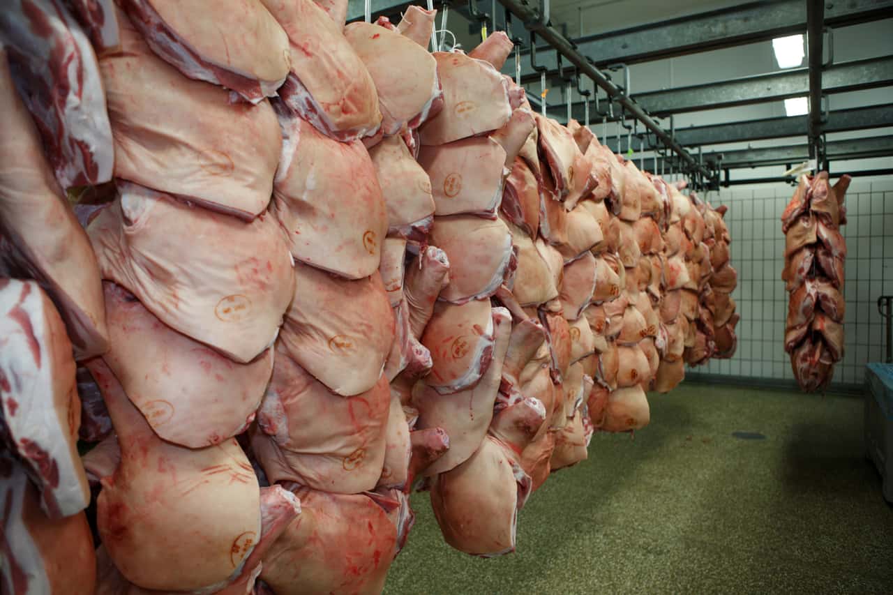 Spanien-sichert-China-Exporte-im-ASP-Fall-ab