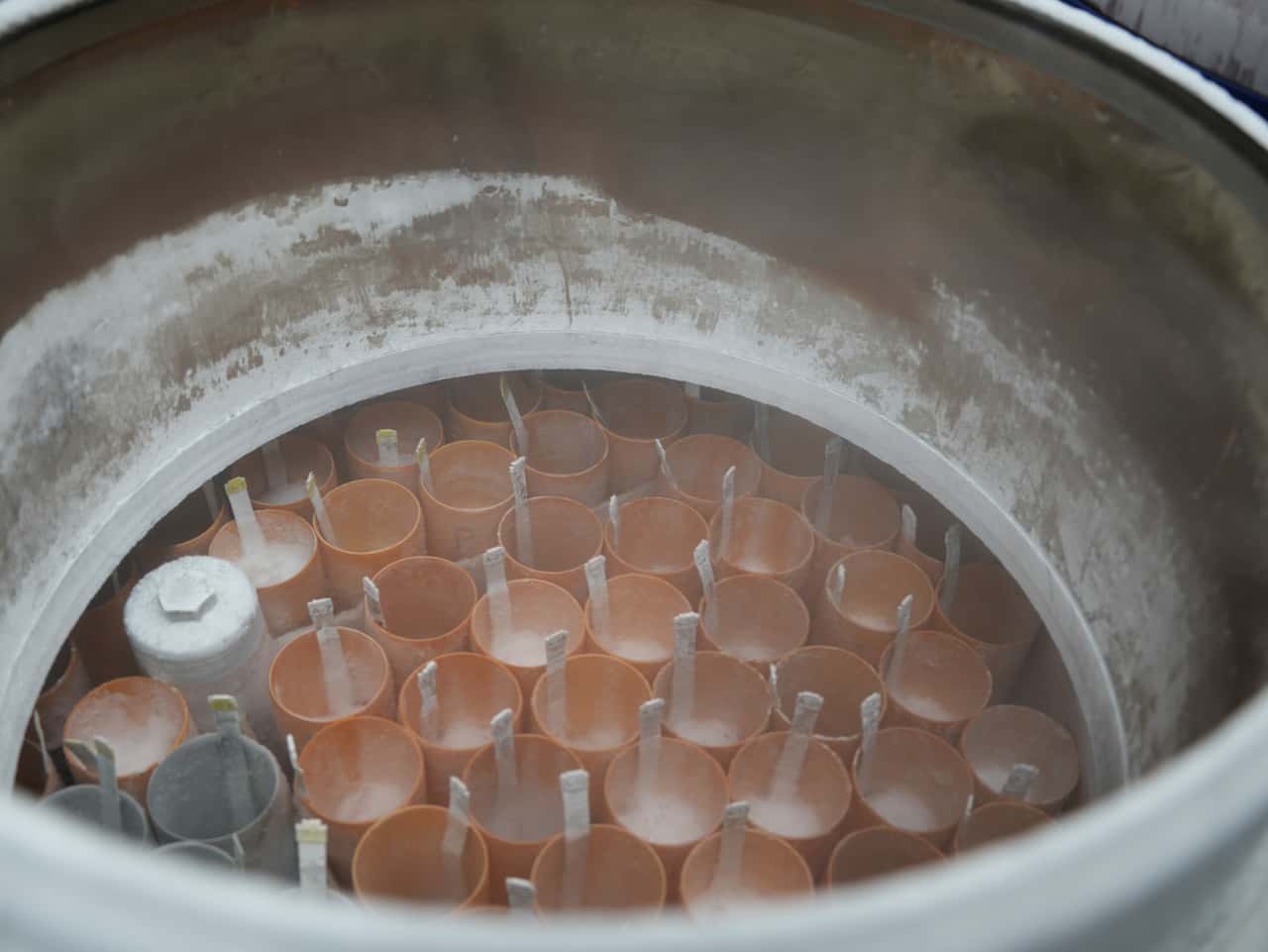 Zuchtverband-RSH-k-ndigt-Mitgliedschaft-bei-Ph-nix-Group-GmbH