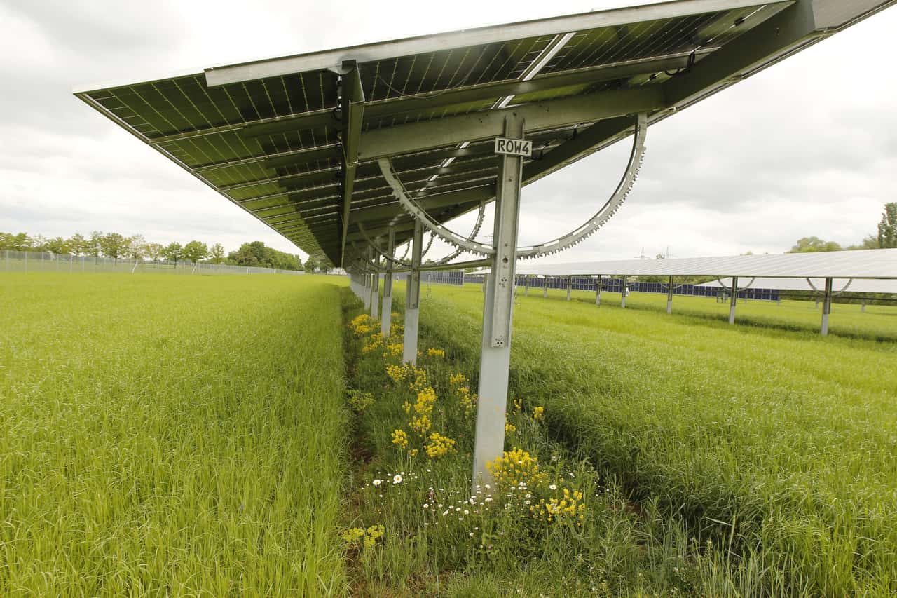 Diese-Vorteile-bringt-ein-Regionalwerk-beim-Bau-von-Solarparks-und-Agri-PV