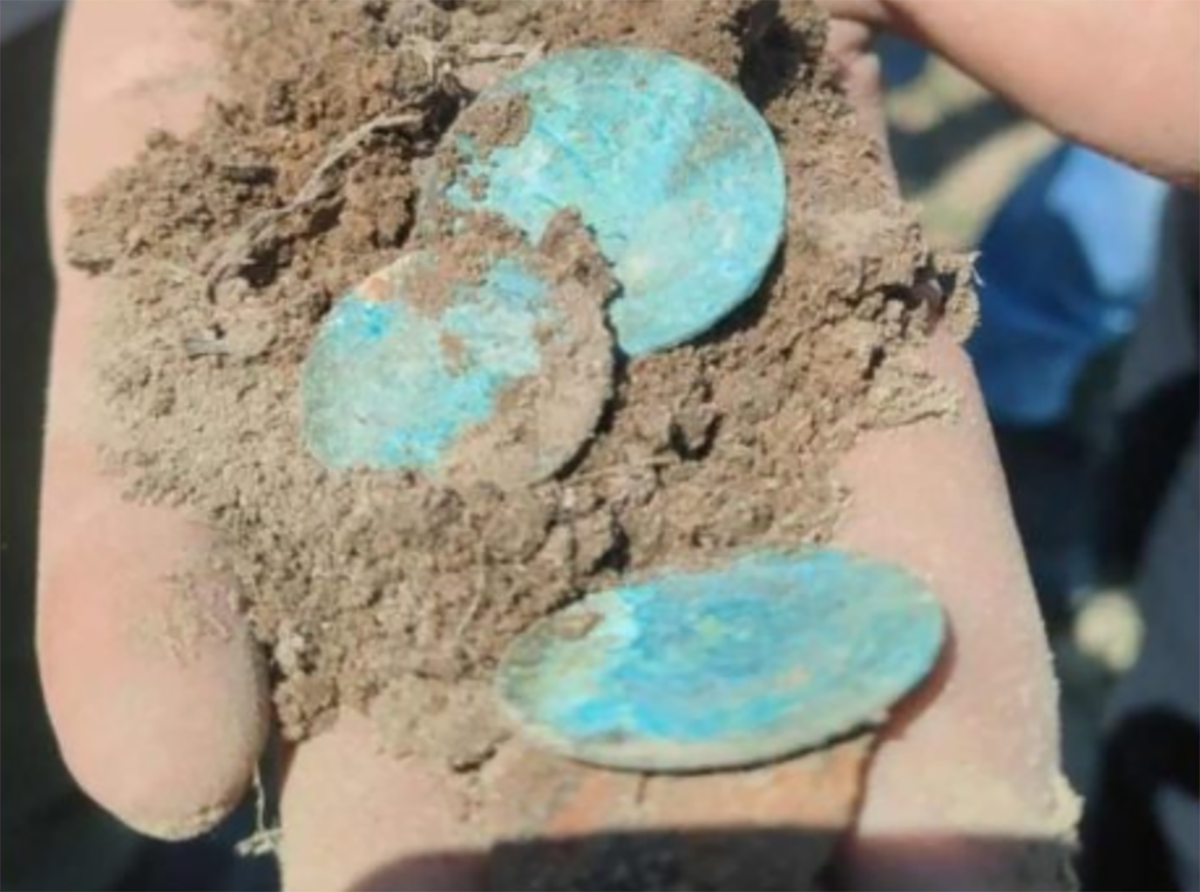 Bauernpaar-entdeckt-350-Jahre-alten-Silberschatz-auf-eigenen-Hof