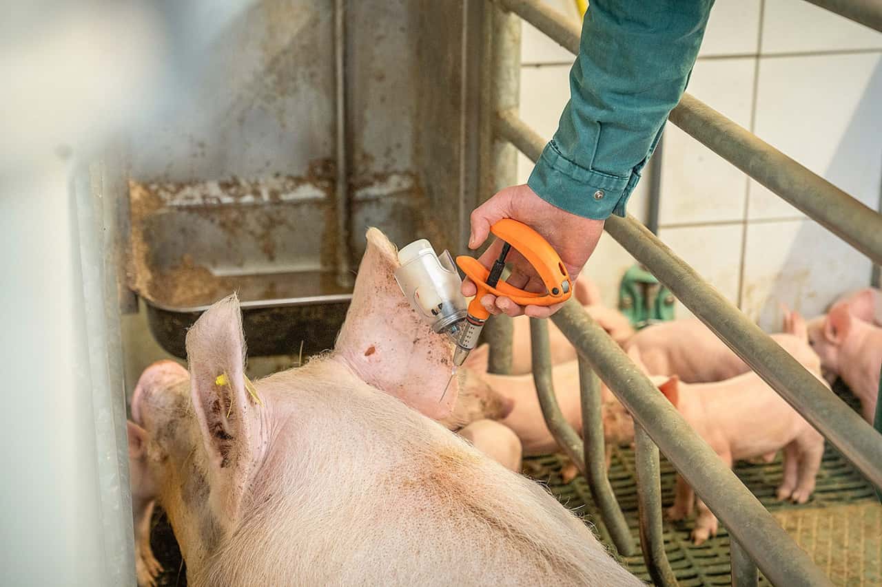 Darum-stieg-der-Antibiotika-verbrauch-2024