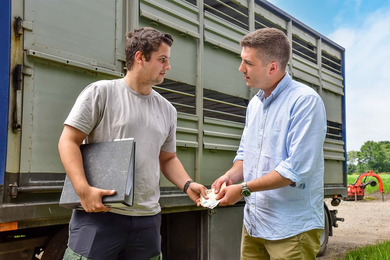 T-nnies-Interview-Befunde-entscheiden-ber-den-Schlachterl-s