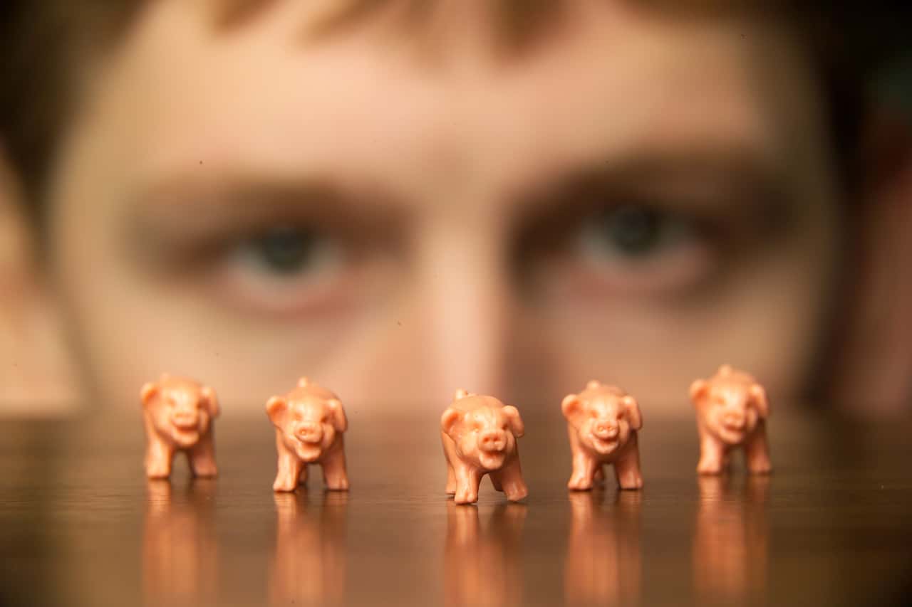 Hortmann-Scholten-HF-3-bis-5-geh-ren-nicht-in-die-Region-Weser-Ems-