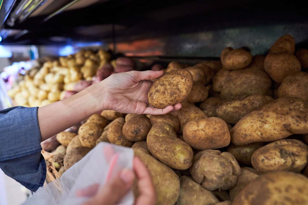 Im-September-fallen-Exporte-von-frischen-Kartoffeln-zur-ck