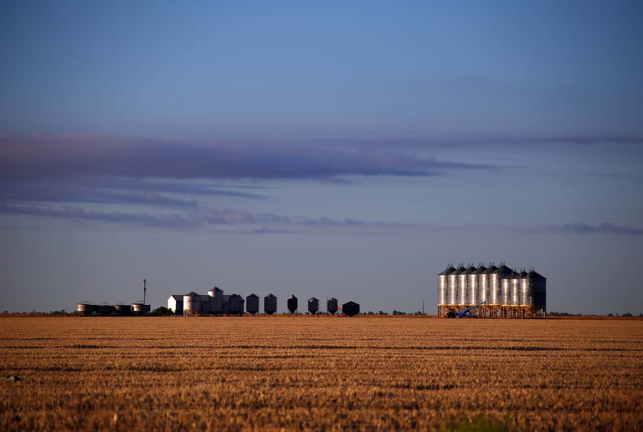Getreideernte-auf-der-S-dhalbkugel-Hohe-Ertr-ge-erwartet