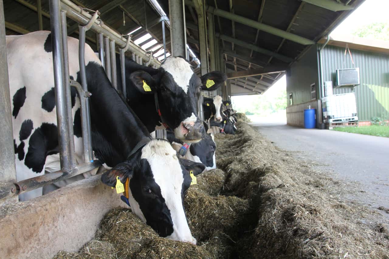 -Klimah-fe-Dr-Oetker-und-Gropper-pr-fen-klimafreundlichere-Milchproduktion