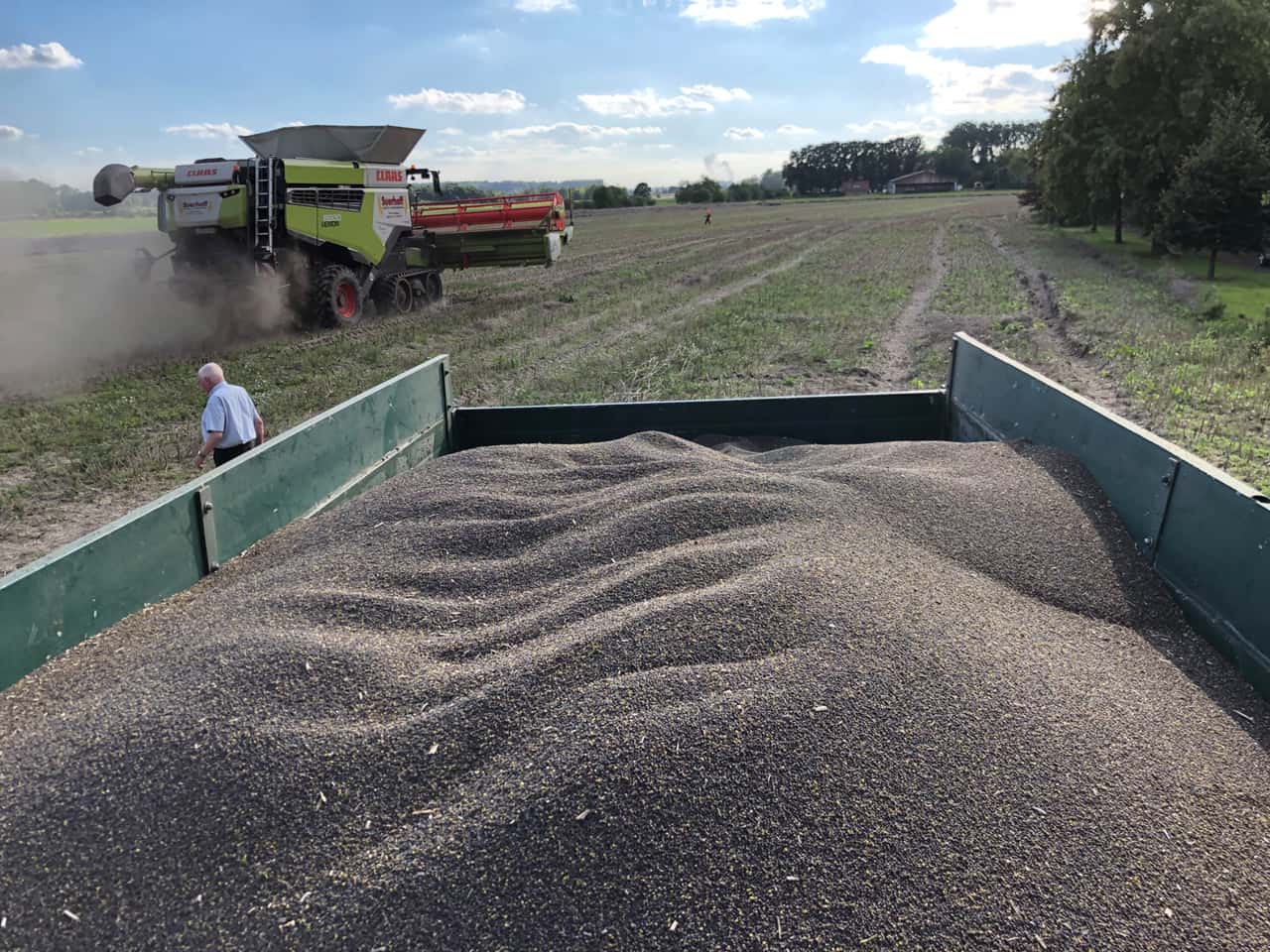 Rapskurse-schwanken-Erzeuger-z-gern-bei-Vermarktung