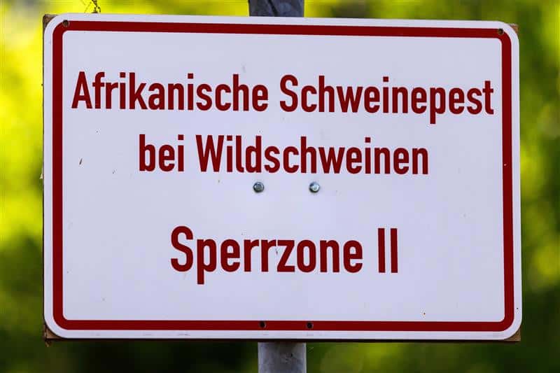 Landkreis-Oberspreewald-Lausitz-hebt-ASP-Sperrzonen-auf