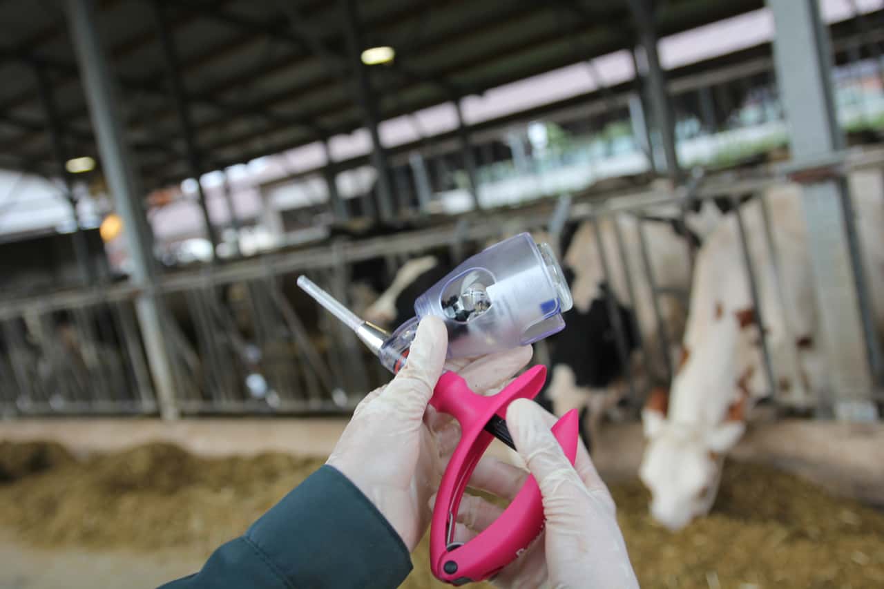 Antibiotikaverbrauch-in-Frankreich-um-0-4-gesunken