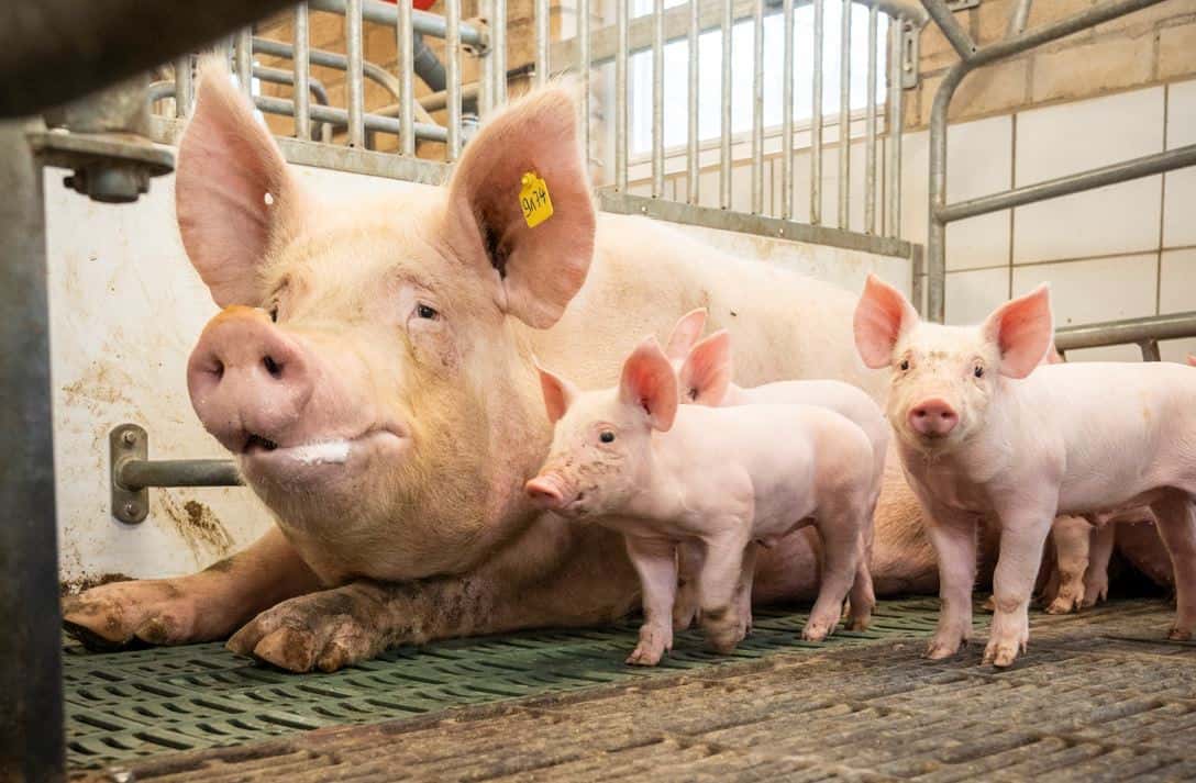 Ver-nderung-der-BHZP-Gesch-ftsf-hrung-EGN-und-VzF-r-cken-n-her-an-Kerngesch-ft