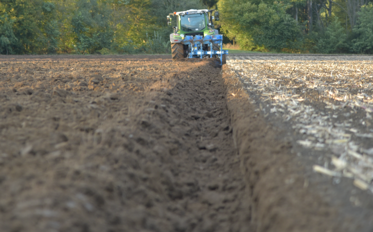 Diskussion-um-AfD-Brandmauer-Das-sagen-die-deutschen-Agrarverb-nde