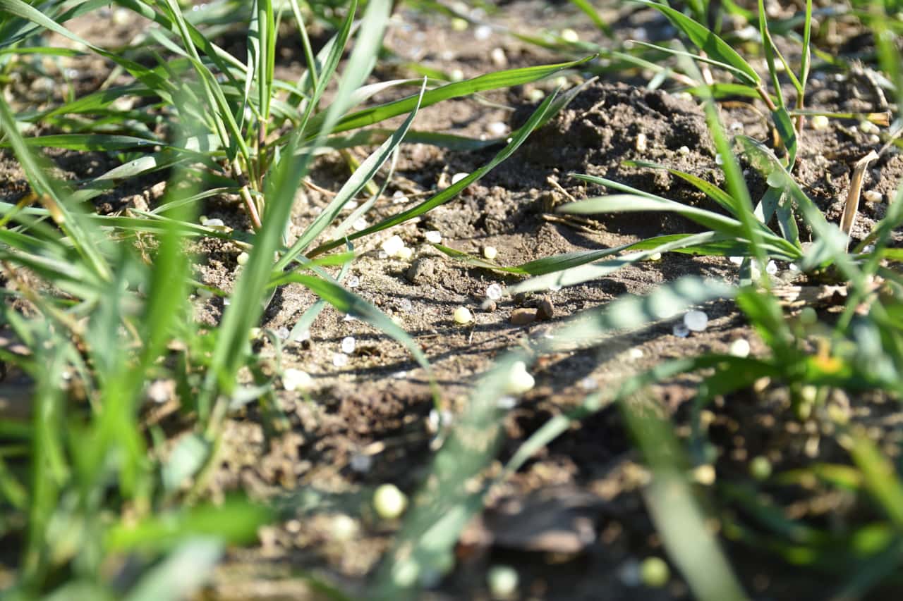 D-nger-EU-Agrarverb-nde-warnen-vor-Preisexplosion