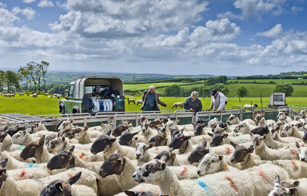 Landwirte-sollen-Polizeidrohnen-zur-Bek-mpfung-der-Kriminalit-t-einsetzen