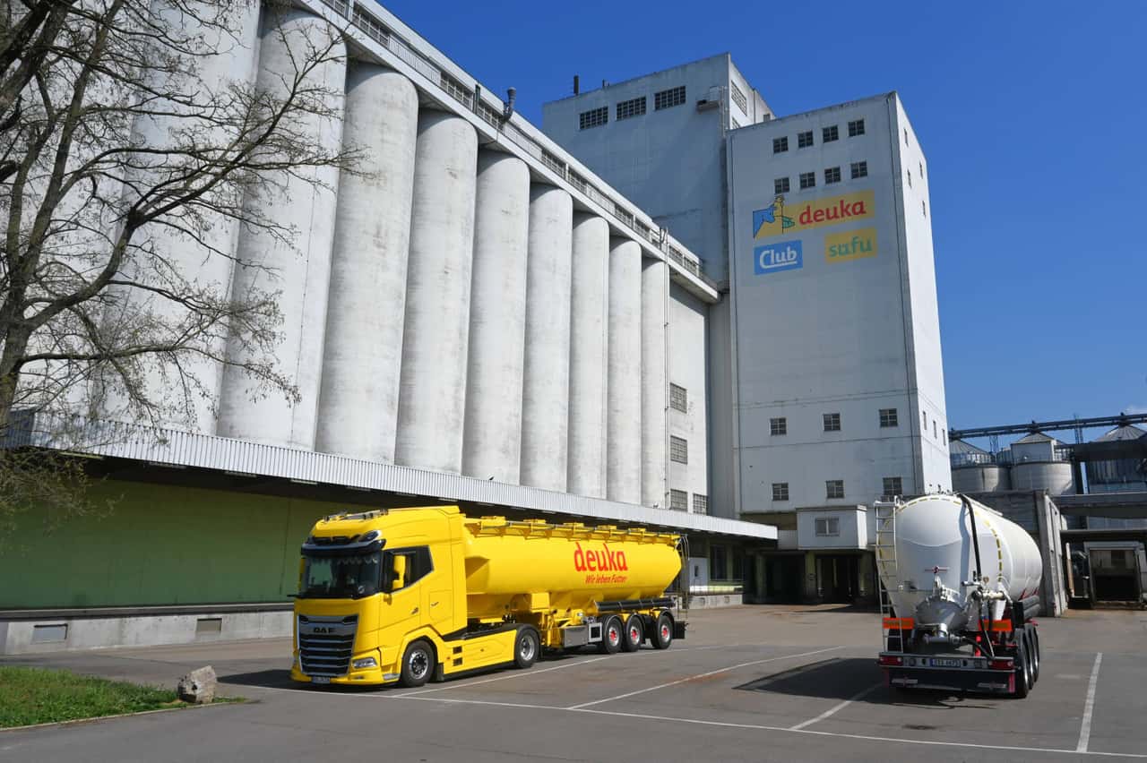 Anteil-Getreide-im-Mischfutter-steigt-kr-ftig