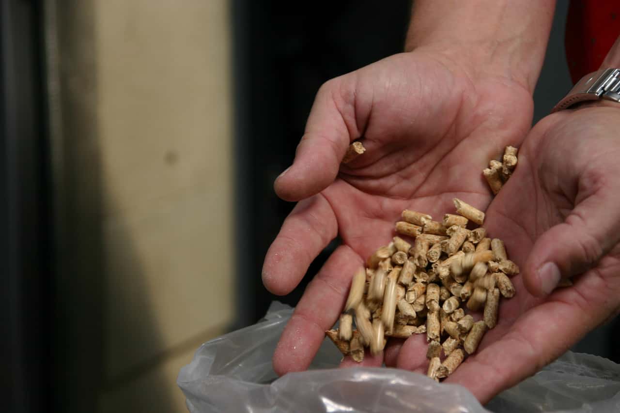 Darf-ich-Gerste-statt-Holzpellets-verbrennen-