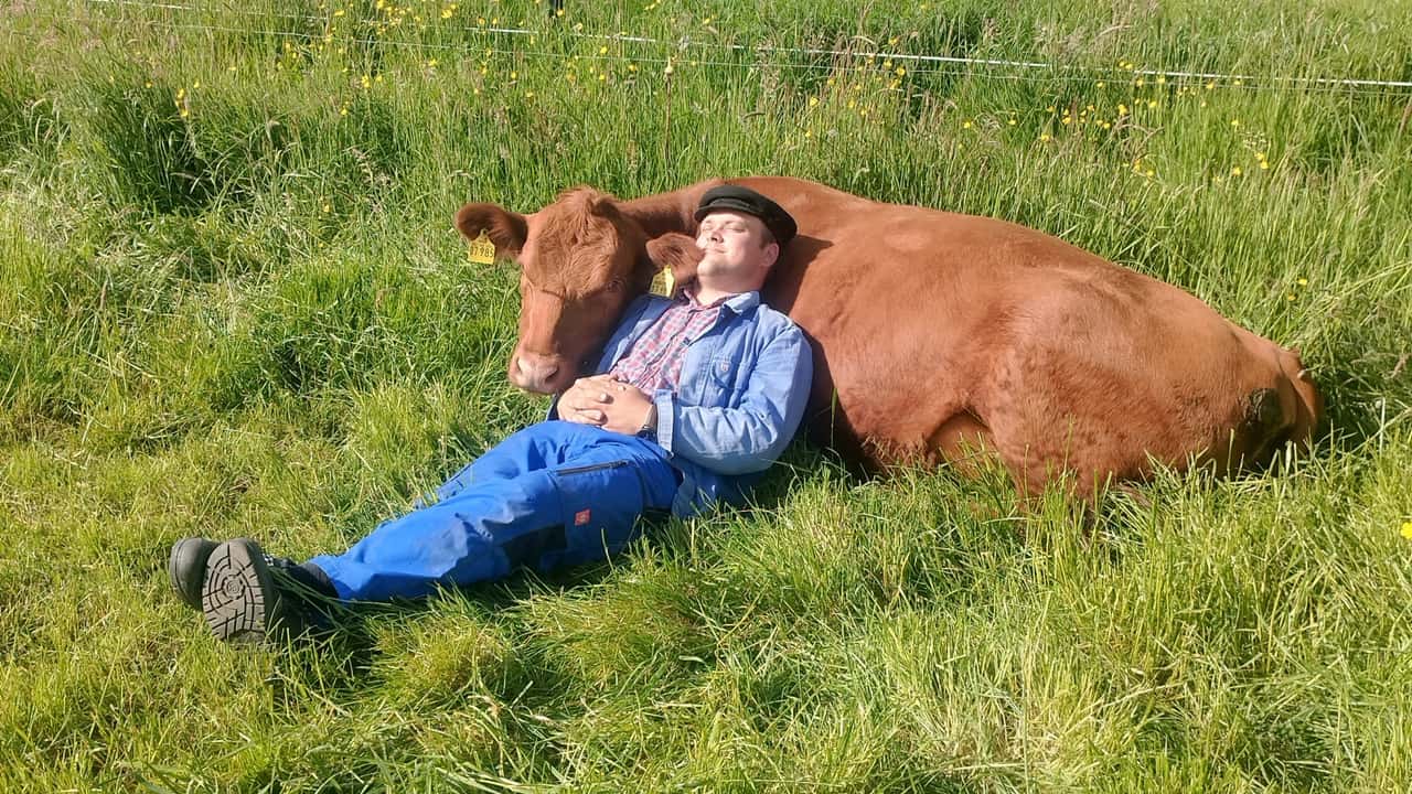 Das-sind-die-sch-nsten-Hofmomente-2025