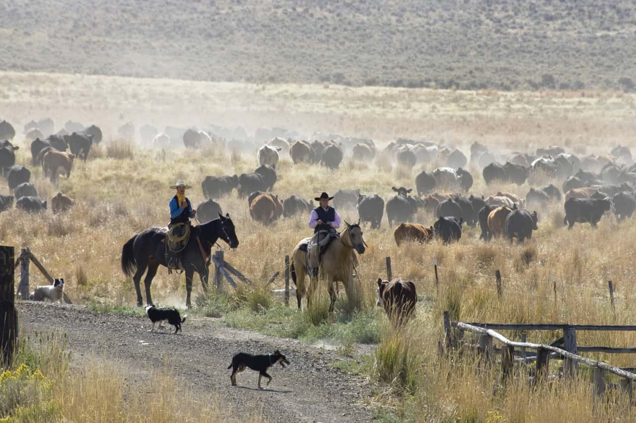 Mittlerer-Westen-der-USA-chzt-unter-erneuter-D-rre