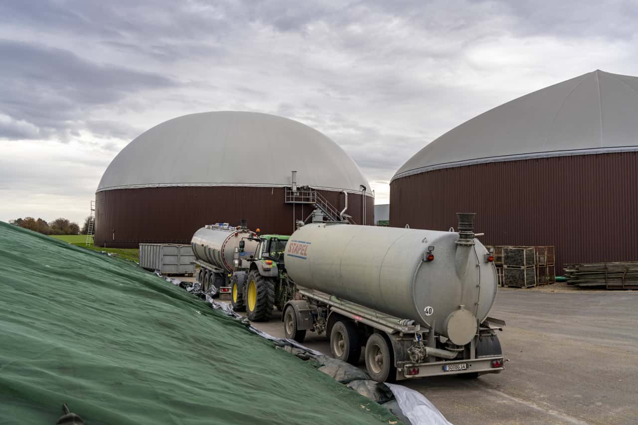 Biomasseausschreibung-berzeichnet-aber-800-MW-gesichert