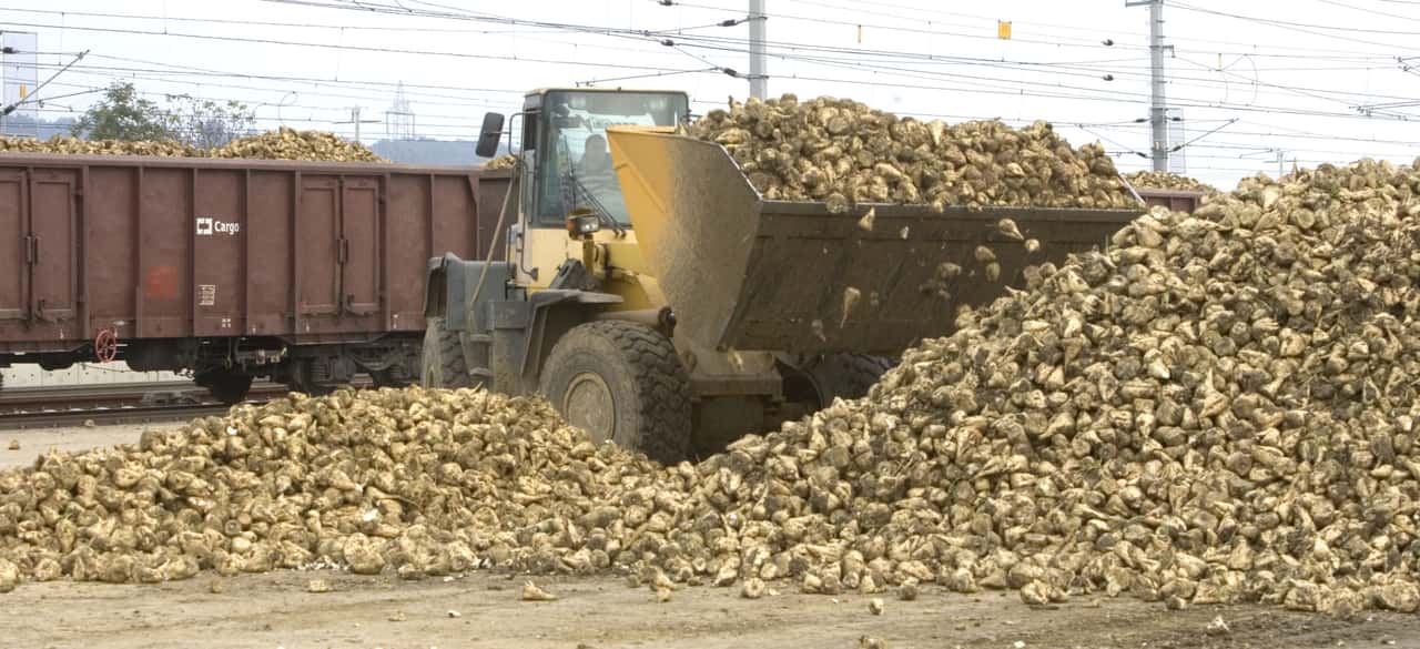 So will Österreich seinen Zuckerstandort absichern