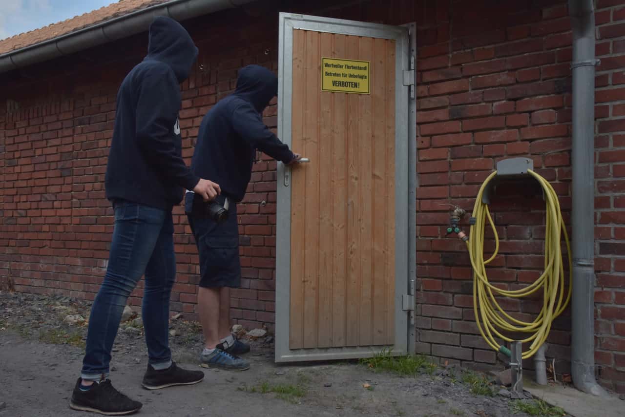 What can pig farmers do against illegal barn visits?