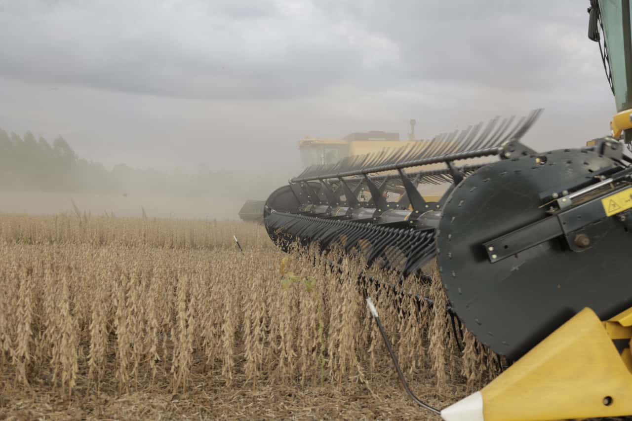 Europaparlament-will-st-rkeren-Schutz-f-r-EU-Bauern